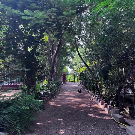 Sharad Baug Homestay بهوي المظهر الخارجي الصورة