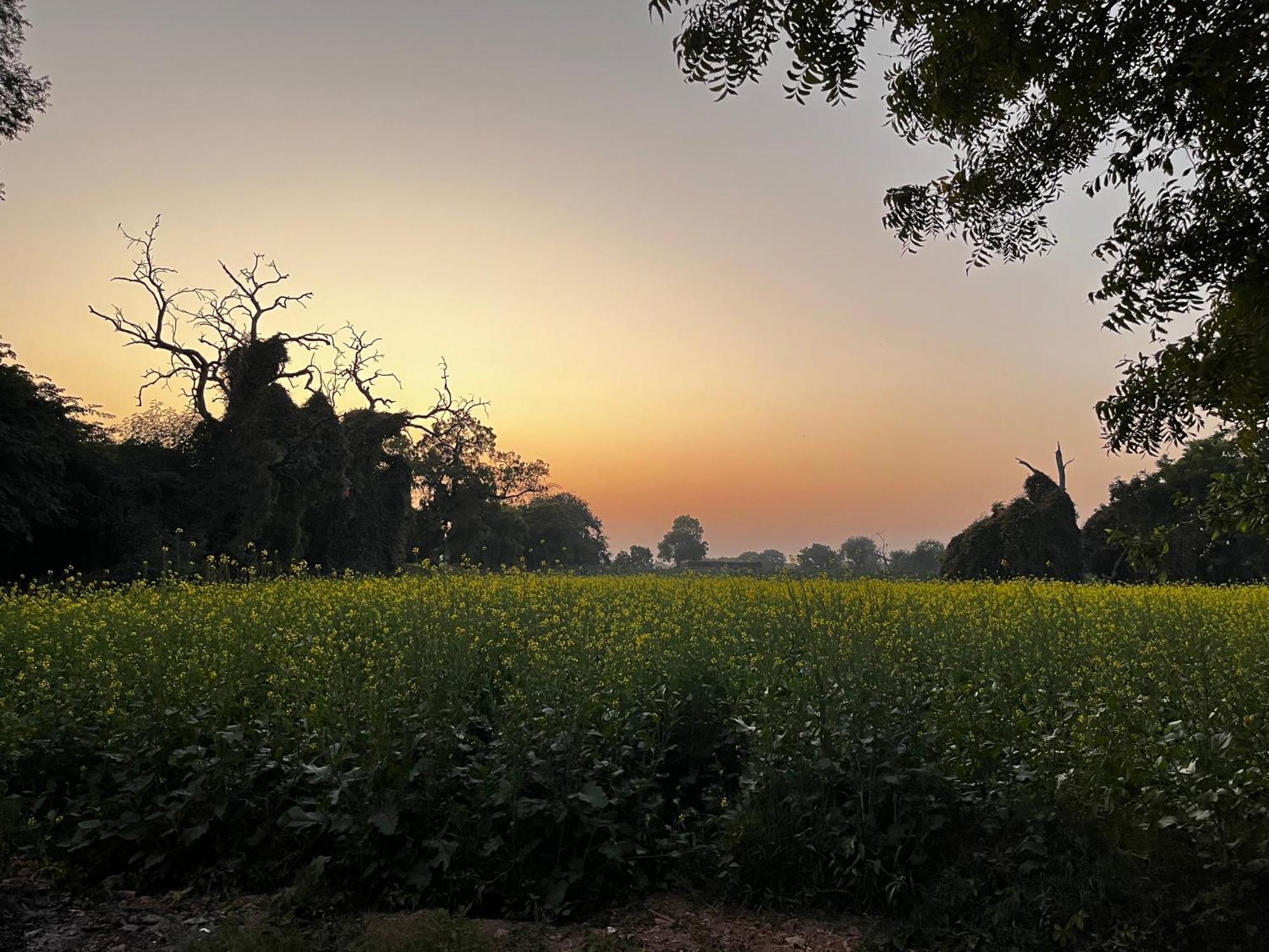 Sharad Baug Homestay بهوي المظهر الخارجي الصورة