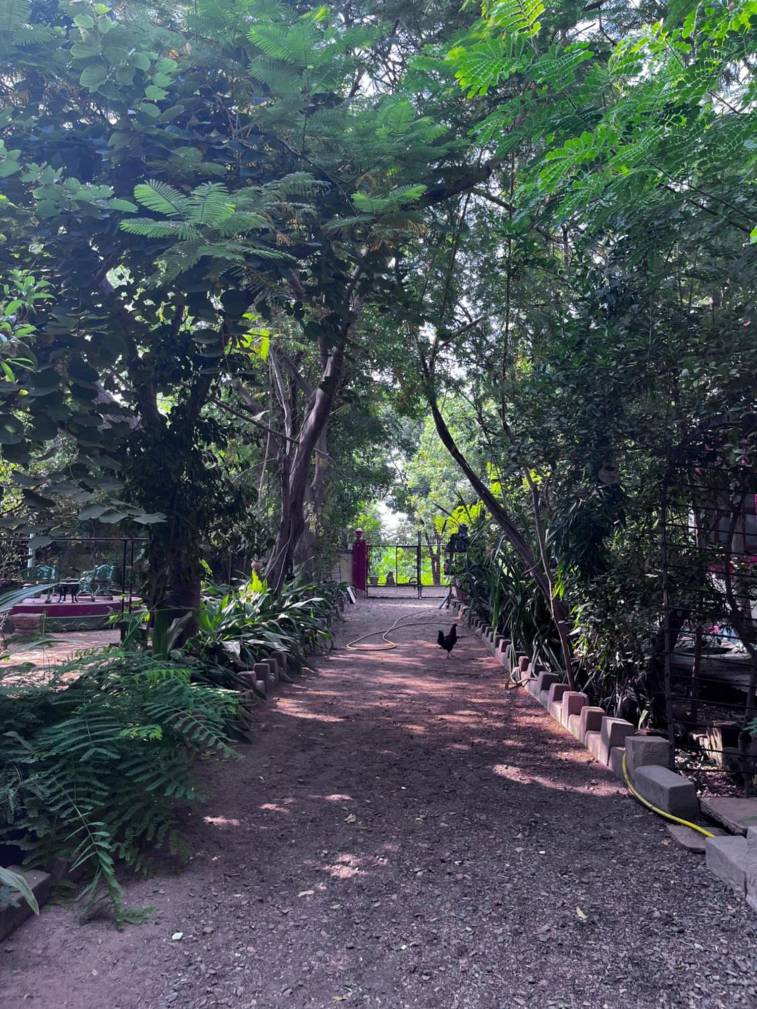 Sharad Baug Homestay بهوي المظهر الخارجي الصورة