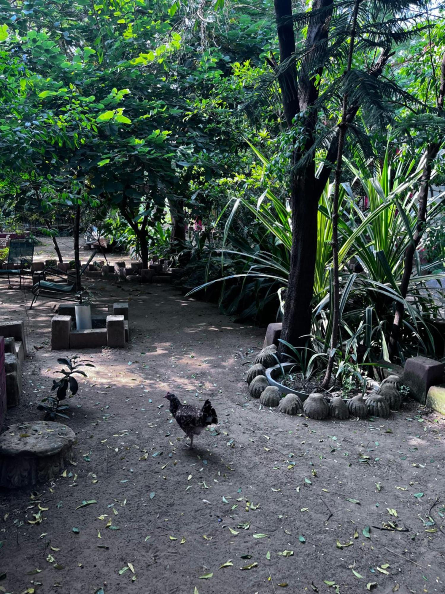Sharad Baug Homestay بهوي المظهر الخارجي الصورة